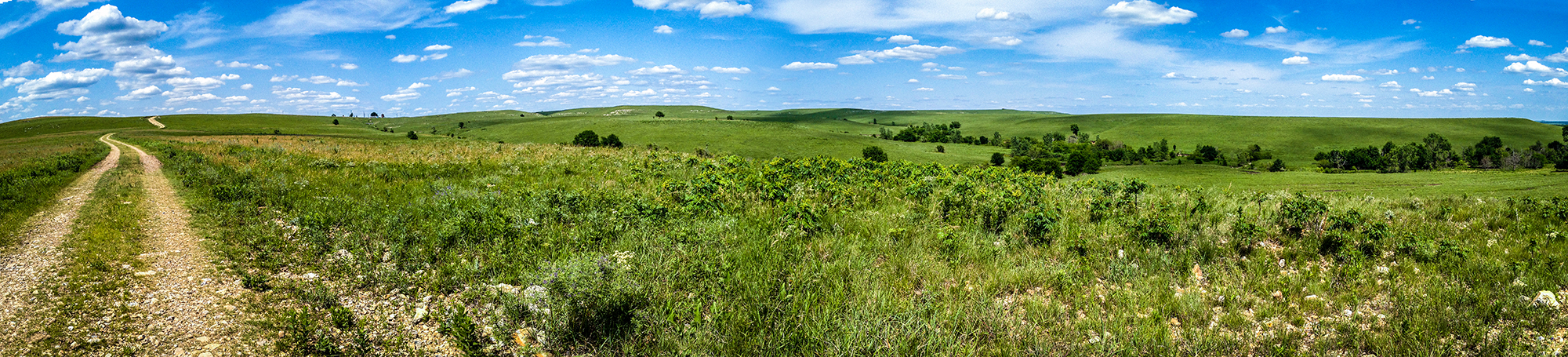 Gravel Road in Flint Hills